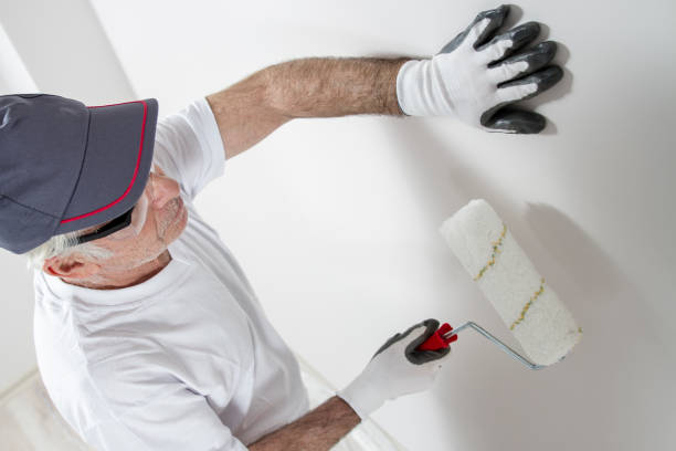 Best Mold Prevention Services  in Cumberland Head, NY