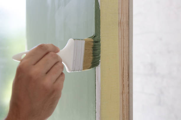 Best Attic Mold Removal  in Cumberland Head, NY