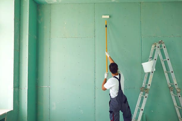  Cumberland Head, NY Mold Removal Pros