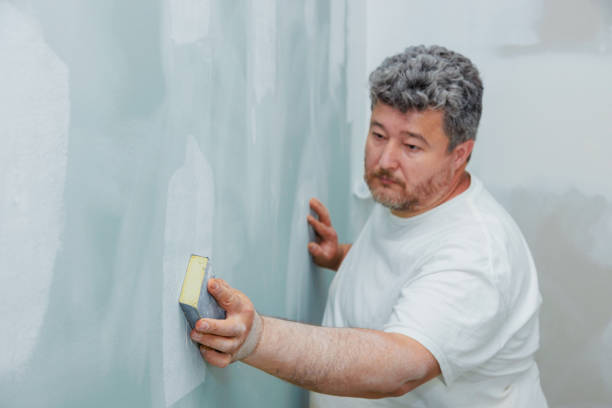 Best Post-Construction Mold Inspection  in Cumberland Head, NY