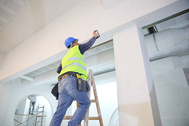 Best Comprehensive Air Testing for Mold Contaminants  in Cumberland Head, NY