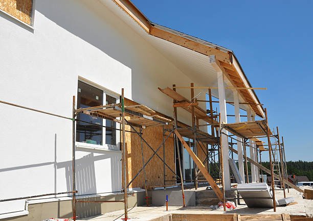 Mold Documentation for Insurance Claims in Cumberland Head, NY